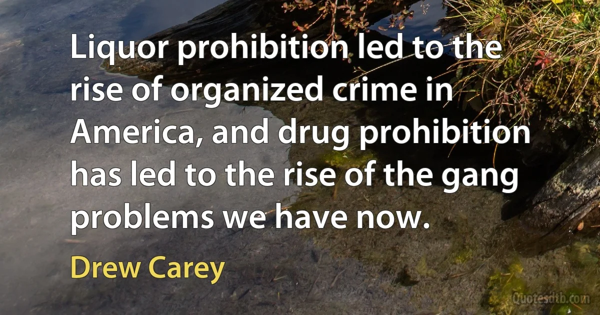 Liquor prohibition led to the rise of organized crime in America, and drug prohibition has led to the rise of the gang problems we have now. (Drew Carey)