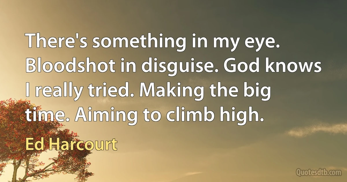 There's something in my eye. Bloodshot in disguise. God knows I really tried. Making the big time. Aiming to climb high. (Ed Harcourt)