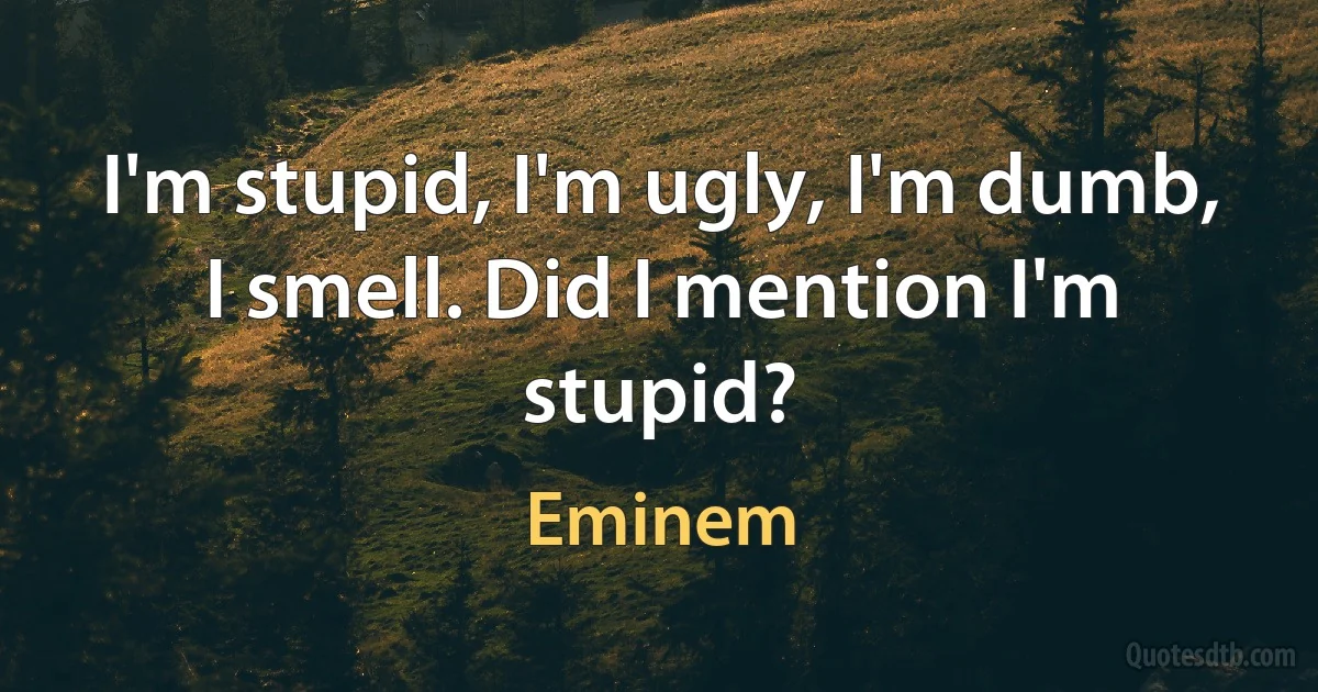 I'm stupid, I'm ugly, I'm dumb, I smell. Did I mention I'm stupid? (Eminem)