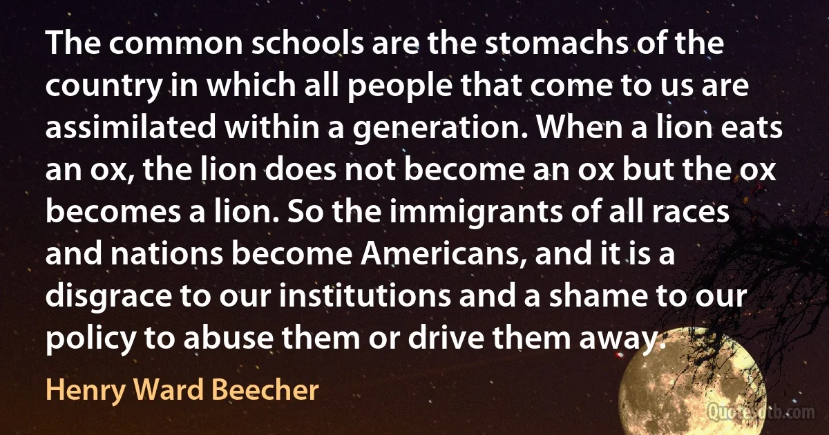 The common schools are the stomachs of the country in which all people that come to us are assimilated within a generation. When a lion eats an ox, the lion does not become an ox but the ox becomes a lion. So the immigrants of all races and nations become Americans, and it is a disgrace to our institutions and a shame to our policy to abuse them or drive them away. (Henry Ward Beecher)