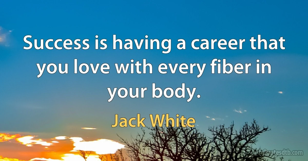 Success is having a career that you love with every fiber in your body. (Jack White)