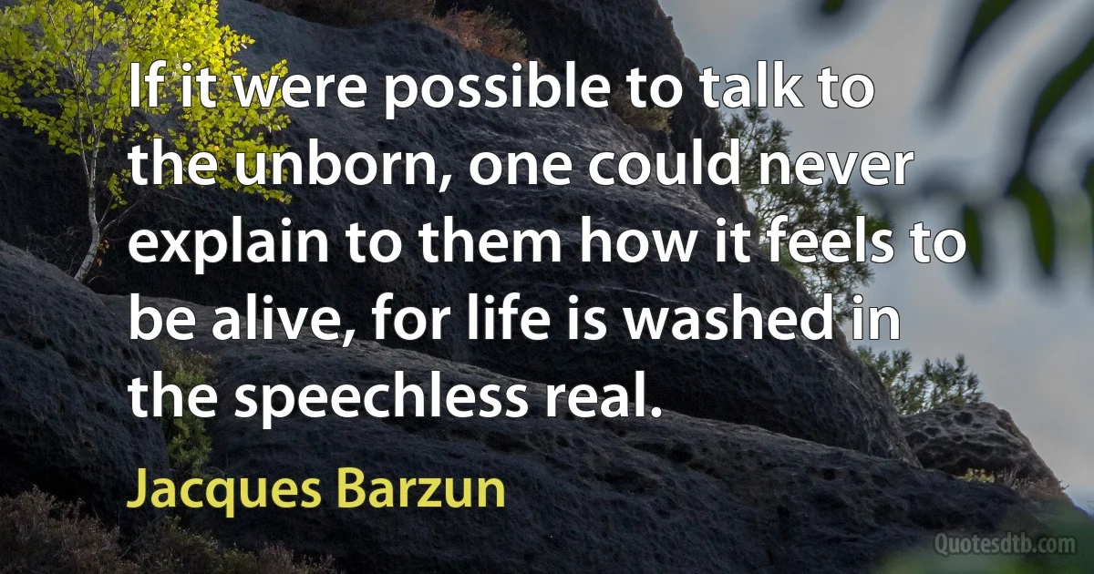 If it were possible to talk to the unborn, one could never explain to them how it feels to be alive, for life is washed in the speechless real. (Jacques Barzun)