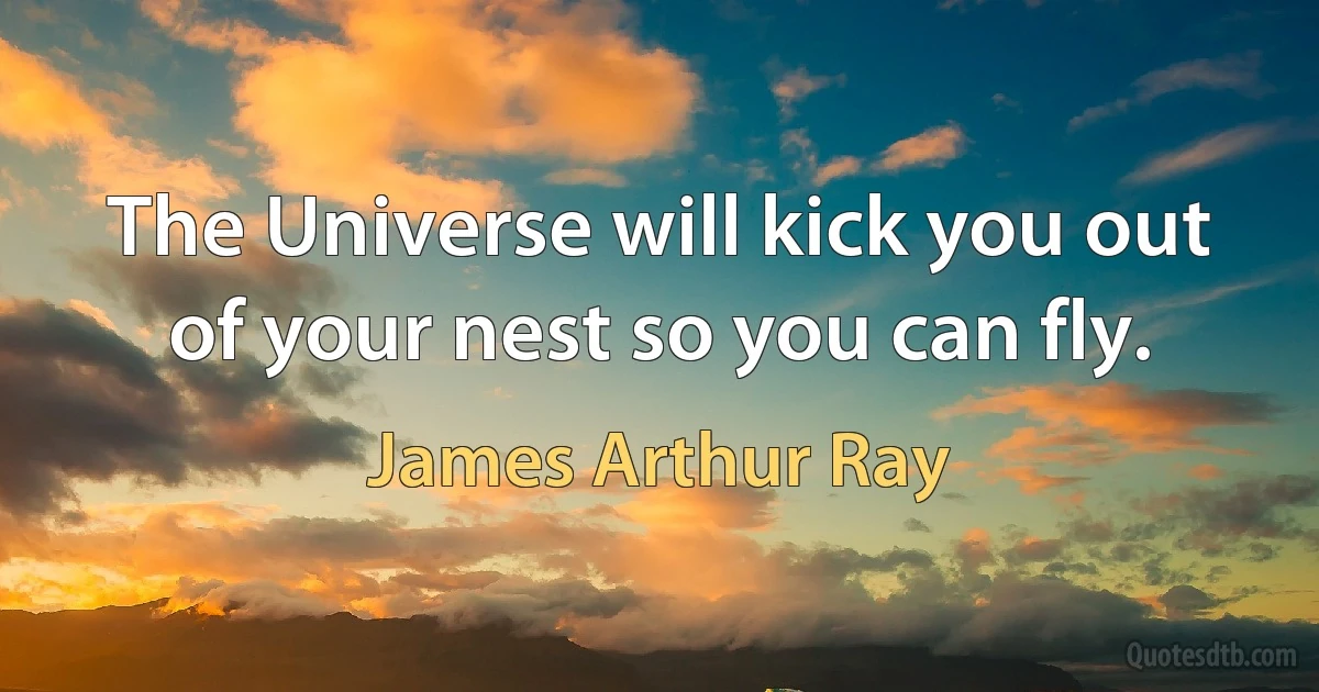 The Universe will kick you out of your nest so you can fly. (James Arthur Ray)