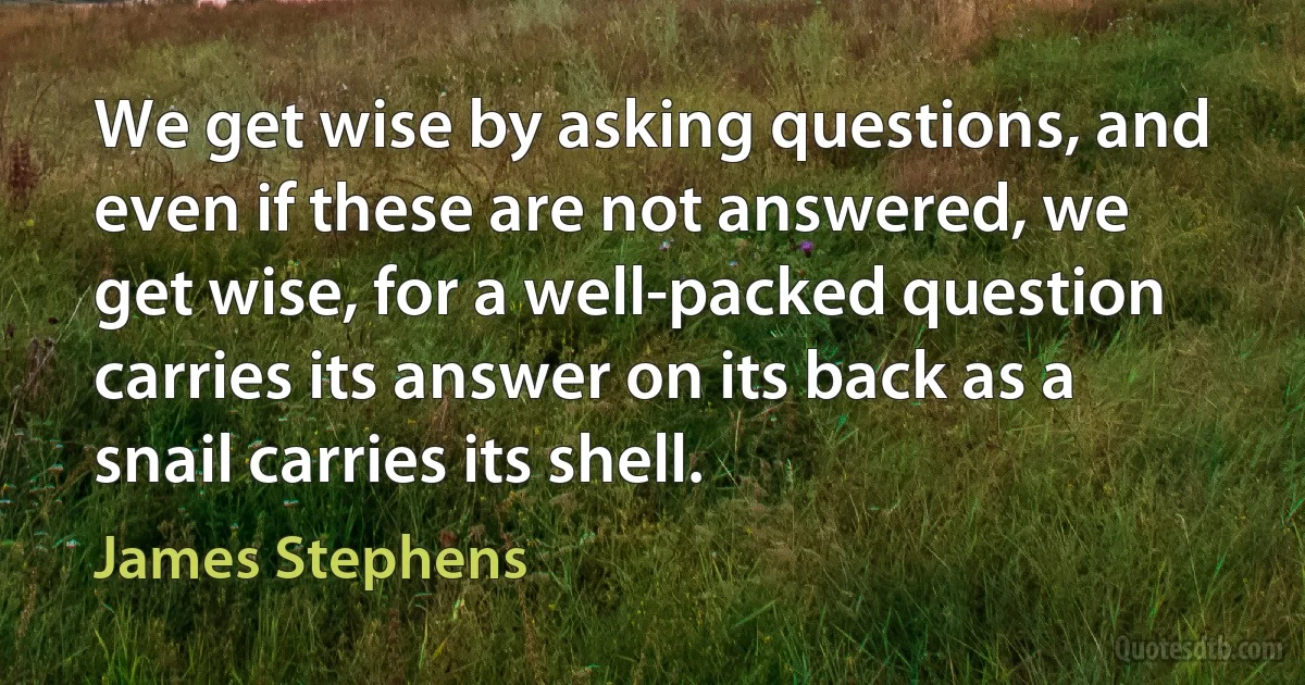 We get wise by asking questions, and even if these are not answered, we get wise, for a well-packed question carries its answer on its back as a snail carries its shell. (James Stephens)