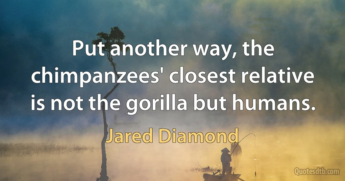 Put another way, the chimpanzees' closest relative is not the gorilla but humans. (Jared Diamond)