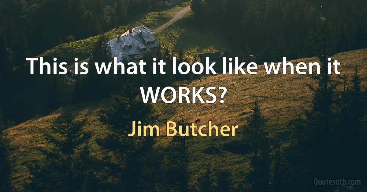 This is what it look like when it WORKS? (Jim Butcher)