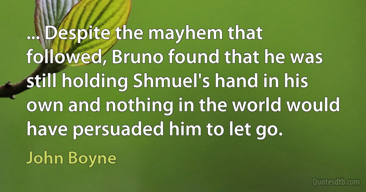 ... Despite the mayhem that followed, Bruno found that he was still holding Shmuel's hand in his own and nothing in the world would have persuaded him to let go. (John Boyne)