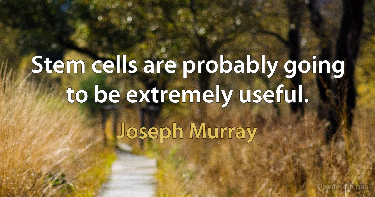 Stem cells are probably going to be extremely useful. (Joseph Murray)