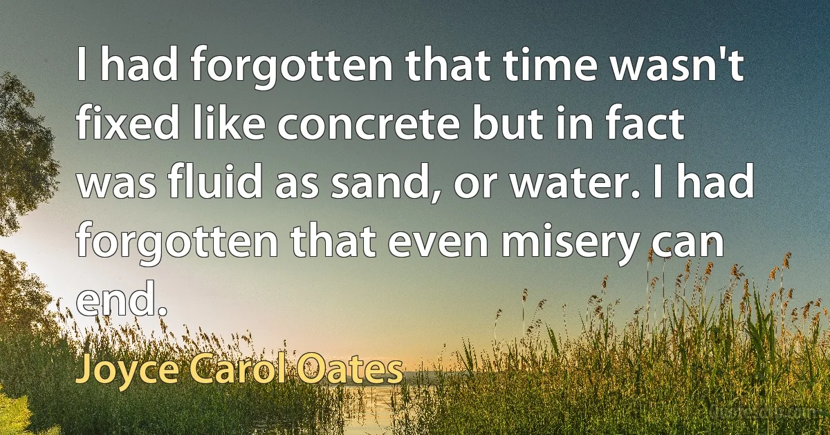 I had forgotten that time wasn't fixed like concrete but in fact was fluid as sand, or water. I had forgotten that even misery can end. (Joyce Carol Oates)