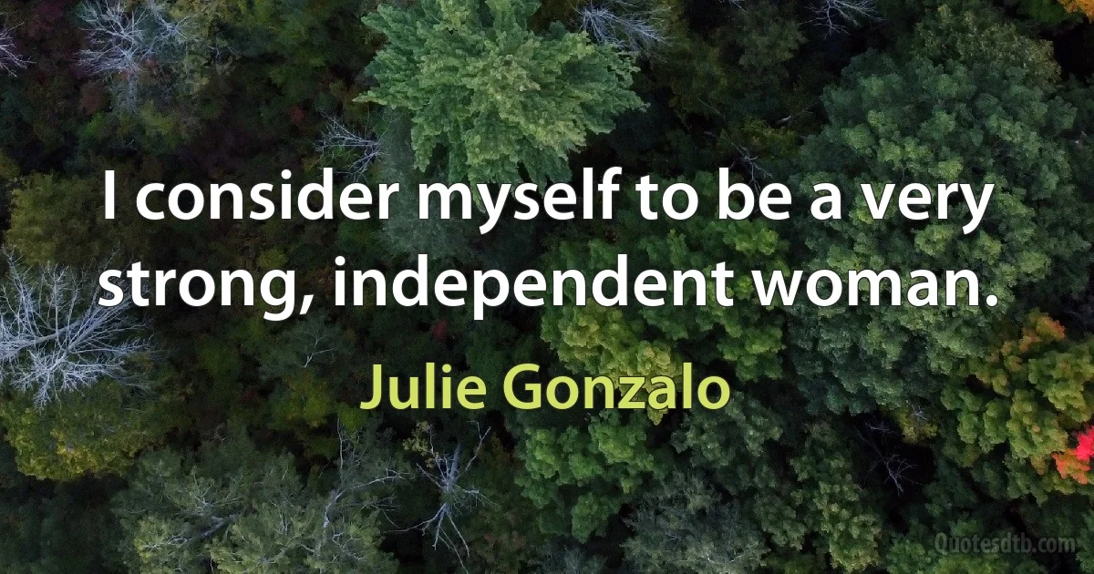 I consider myself to be a very strong, independent woman. (Julie Gonzalo)