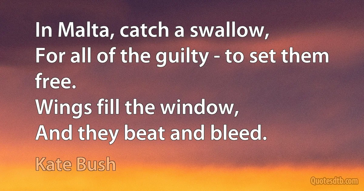 In Malta, catch a swallow,
For all of the guilty - to set them free.
Wings fill the window,
And they beat and bleed. (Kate Bush)