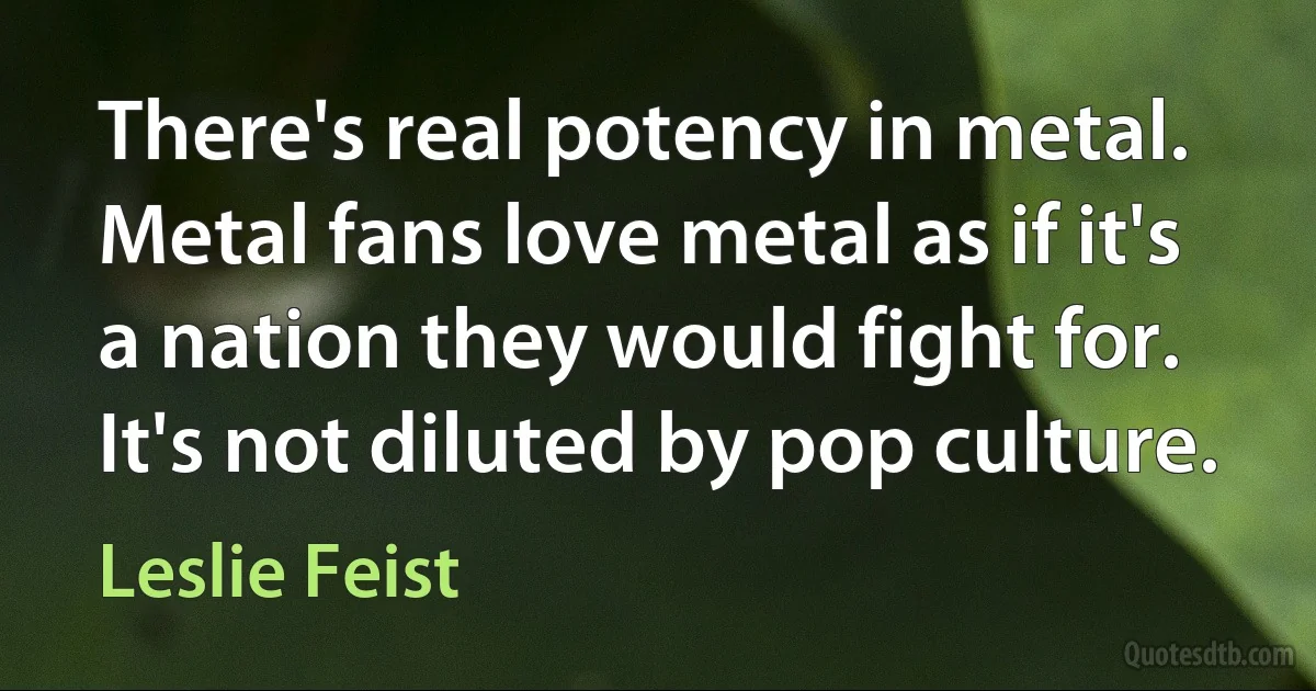 There's real potency in metal. Metal fans love metal as if it's a nation they would fight for. It's not diluted by pop culture. (Leslie Feist)