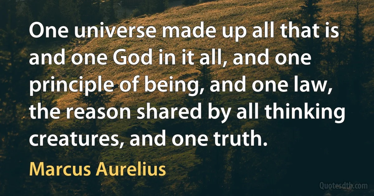 One universe made up all that is and one God in it all, and one principle of being, and one law, the reason shared by all thinking creatures, and one truth. (Marcus Aurelius)