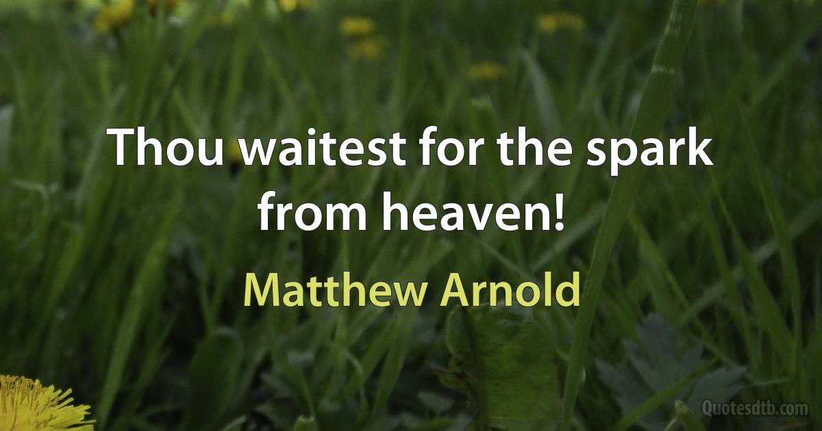 Thou waitest for the spark from heaven! (Matthew Arnold)