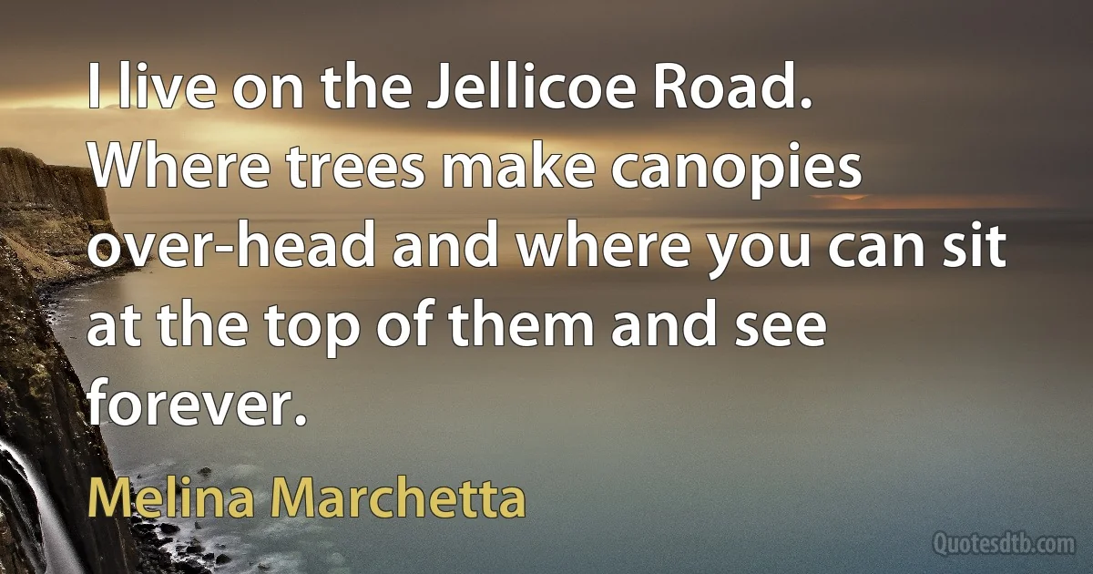 I live on the Jellicoe Road. Where trees make canopies over-head and where you can sit at the top of them and see forever. (Melina Marchetta)