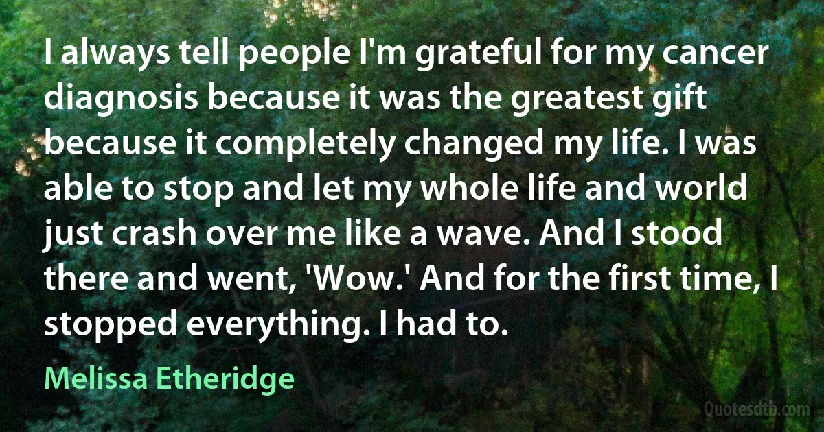 I always tell people I'm grateful for my cancer diagnosis because it was the greatest gift because it completely changed my life. I was able to stop and let my whole life and world just crash over me like a wave. And I stood there and went, 'Wow.' And for the first time, I stopped everything. I had to. (Melissa Etheridge)