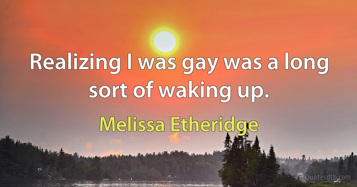 Realizing I was gay was a long sort of waking up. (Melissa Etheridge)