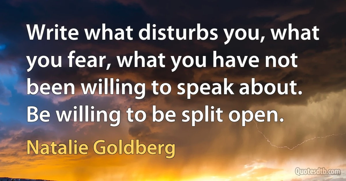 Write what disturbs you, what you fear, what you have not been willing to speak about. Be willing to be split open. (Natalie Goldberg)