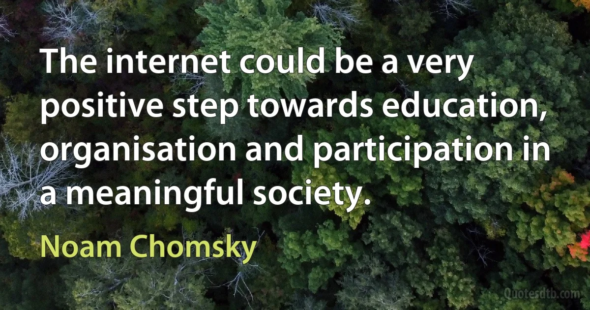 The internet could be a very positive step towards education, organisation and participation in a meaningful society. (Noam Chomsky)