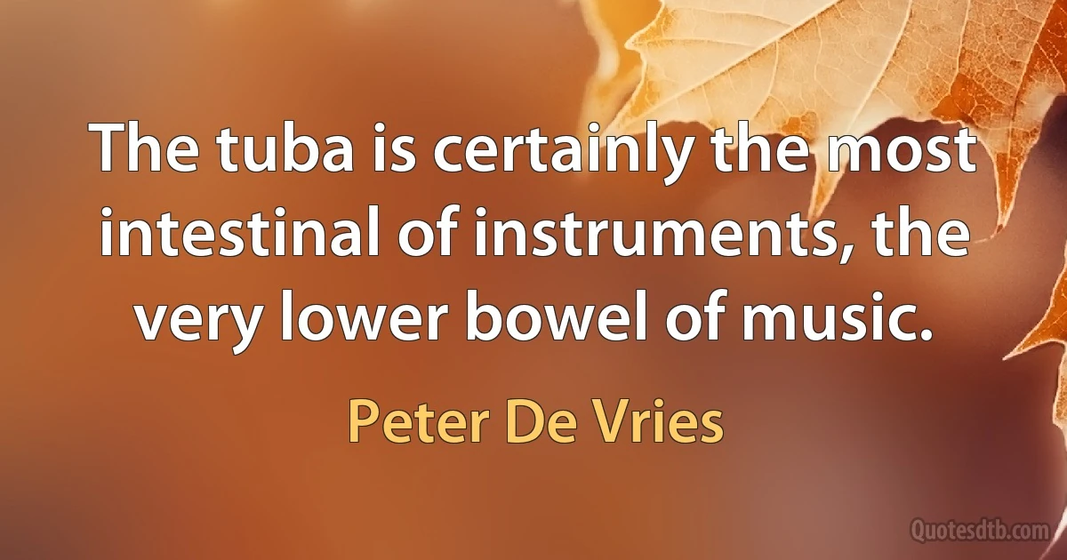 The tuba is certainly the most intestinal of instruments, the very lower bowel of music. (Peter De Vries)