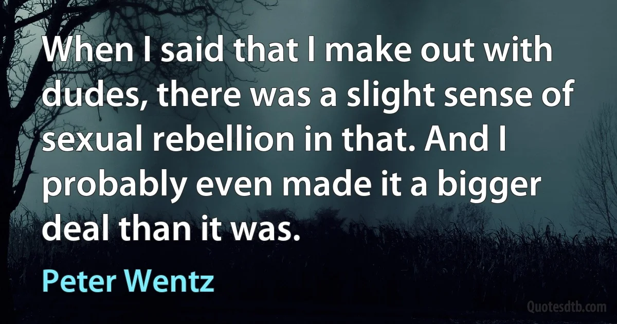 When I said that I make out with dudes, there was a slight sense of sexual rebellion in that. And I probably even made it a bigger deal than it was. (Peter Wentz)