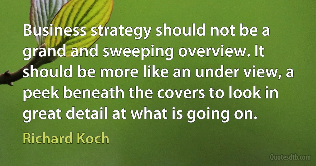 Business strategy should not be a grand and sweeping overview. It should be more like an under view, a peek beneath the covers to look in great detail at what is going on. (Richard Koch)