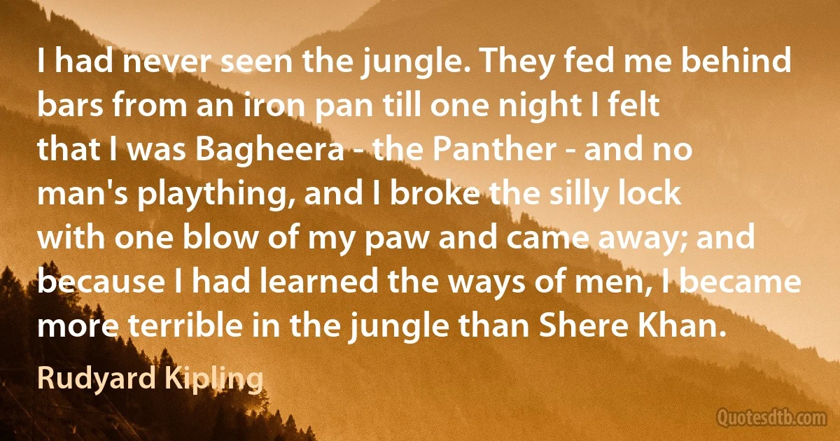 I had never seen the jungle. They fed me behind bars from an iron pan till one night I felt that I was Bagheera - the Panther - and no man's plaything, and I broke the silly lock with one blow of my paw and came away; and because I had learned the ways of men, I became more terrible in the jungle than Shere Khan. (Rudyard Kipling)