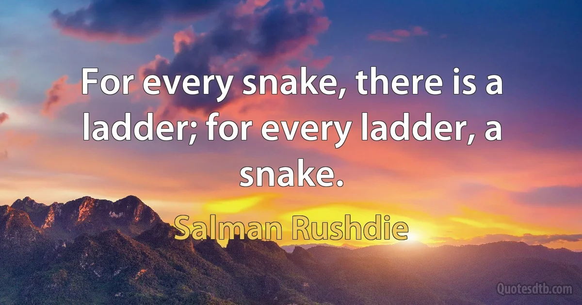 For every snake, there is a ladder; for every ladder, a snake. (Salman Rushdie)