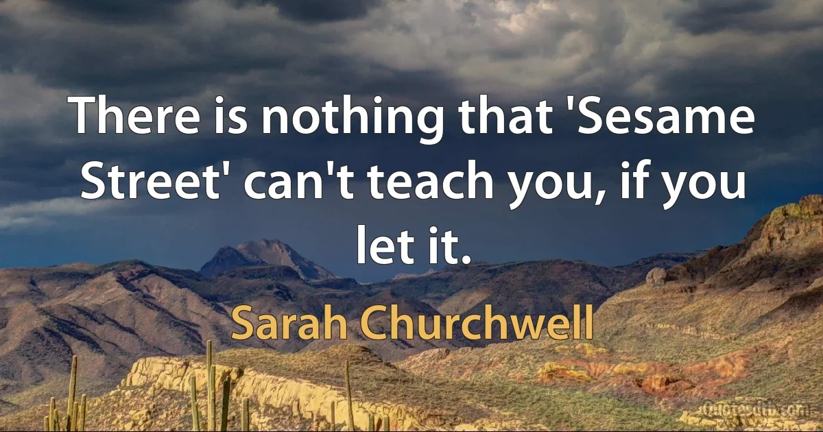 There is nothing that 'Sesame Street' can't teach you, if you let it. (Sarah Churchwell)