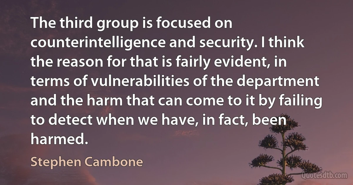 The third group is focused on counterintelligence and security. I think the reason for that is fairly evident, in terms of vulnerabilities of the department and the harm that can come to it by failing to detect when we have, in fact, been harmed. (Stephen Cambone)