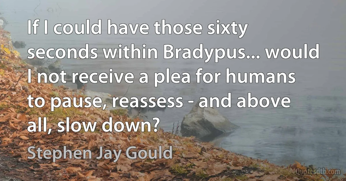 If I could have those sixty seconds within Bradypus... would I not receive a plea for humans to pause, reassess - and above all, slow down? (Stephen Jay Gould)