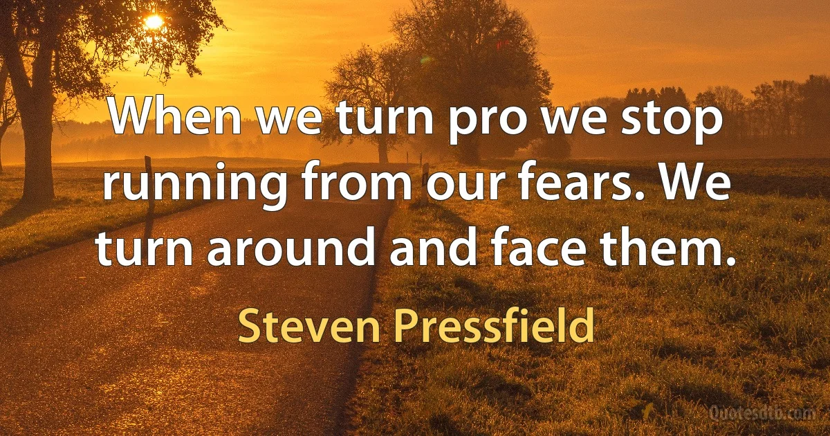 When we turn pro we stop running from our fears. We turn around and face them. (Steven Pressfield)