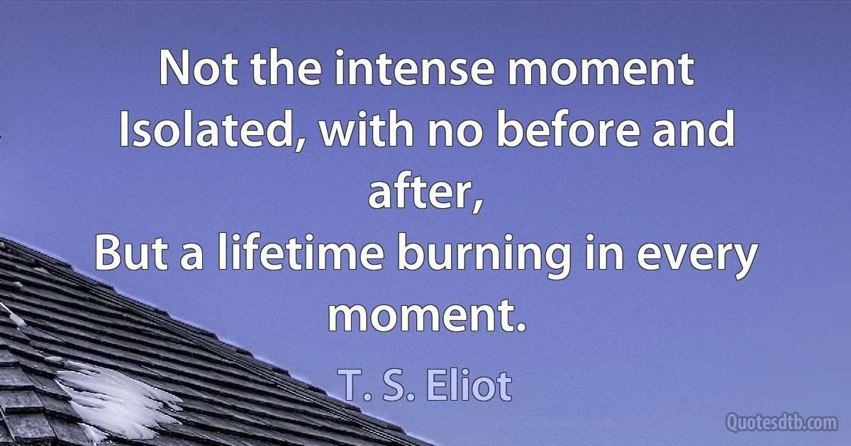 Not the intense moment
Isolated, with no before and after,
But a lifetime burning in every moment. (T. S. Eliot)