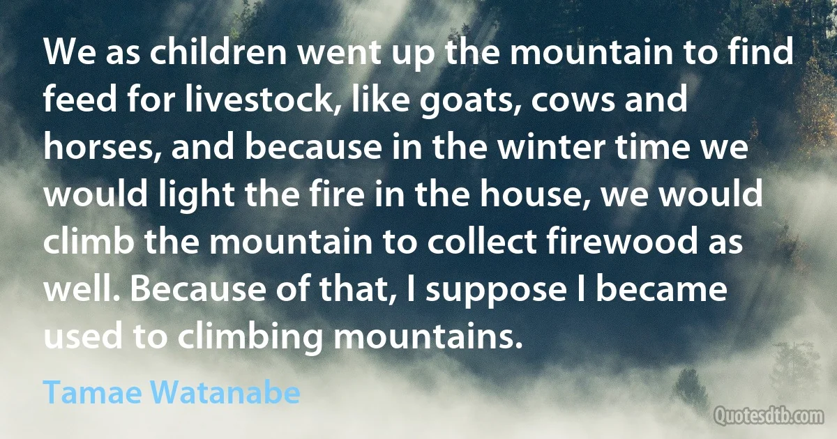 We as children went up the mountain to find feed for livestock, like goats, cows and horses, and because in the winter time we would light the fire in the house, we would climb the mountain to collect firewood as well. Because of that, I suppose I became used to climbing mountains. (Tamae Watanabe)