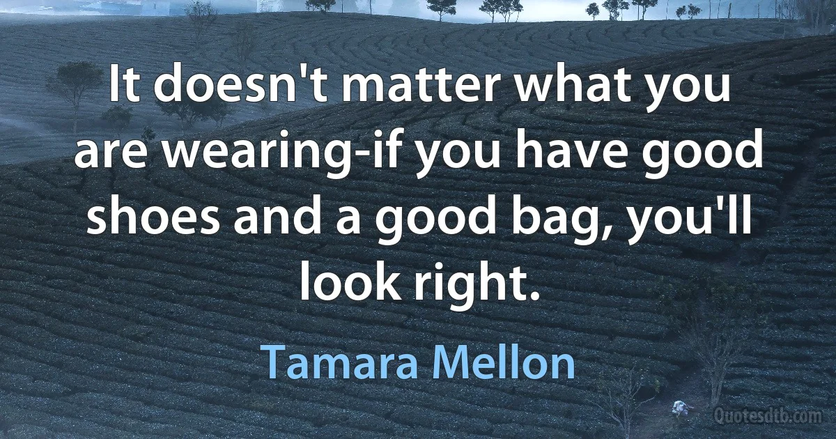 It doesn't matter what you are wearing-if you have good shoes and a good bag, you'll look right. (Tamara Mellon)