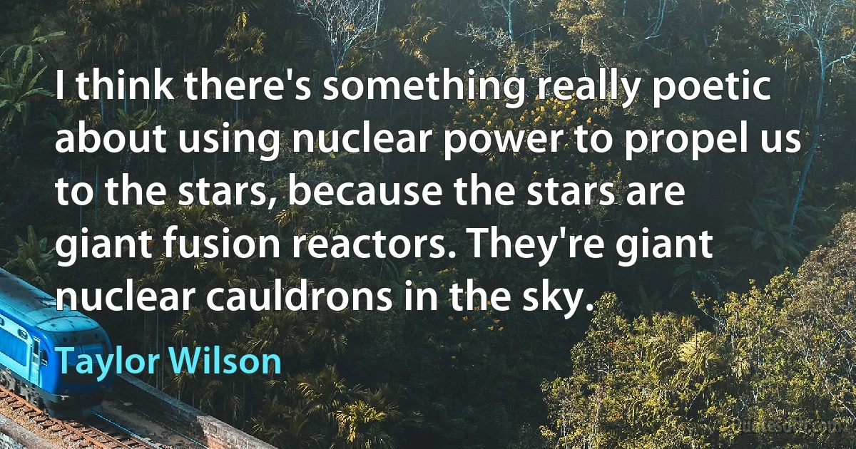 I think there's something really poetic about using nuclear power to propel us to the stars, because the stars are giant fusion reactors. They're giant nuclear cauldrons in the sky. (Taylor Wilson)