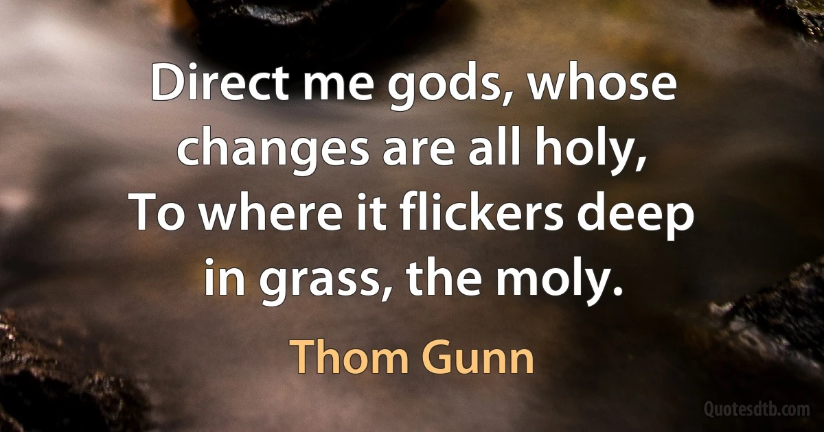 Direct me gods, whose changes are all holy,
To where it flickers deep in grass, the moly. (Thom Gunn)