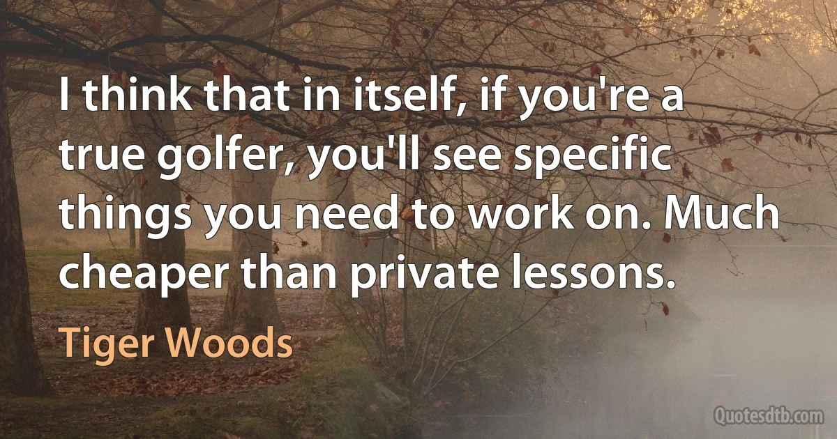 I think that in itself, if you're a true golfer, you'll see specific things you need to work on. Much cheaper than private lessons. (Tiger Woods)