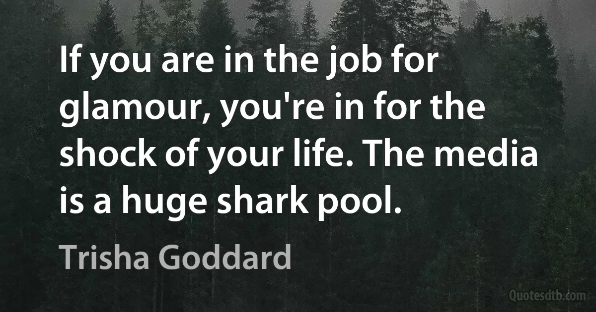 If you are in the job for glamour, you're in for the shock of your life. The media is a huge shark pool. (Trisha Goddard)