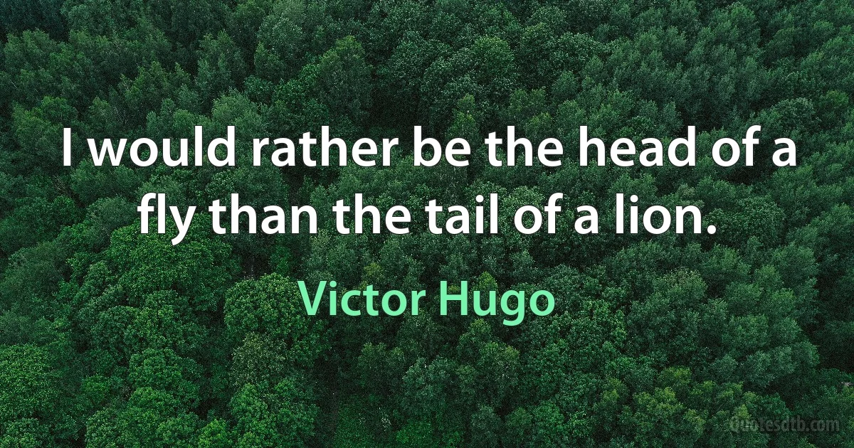 I would rather be the head of a fly than the tail of a lion. (Victor Hugo)