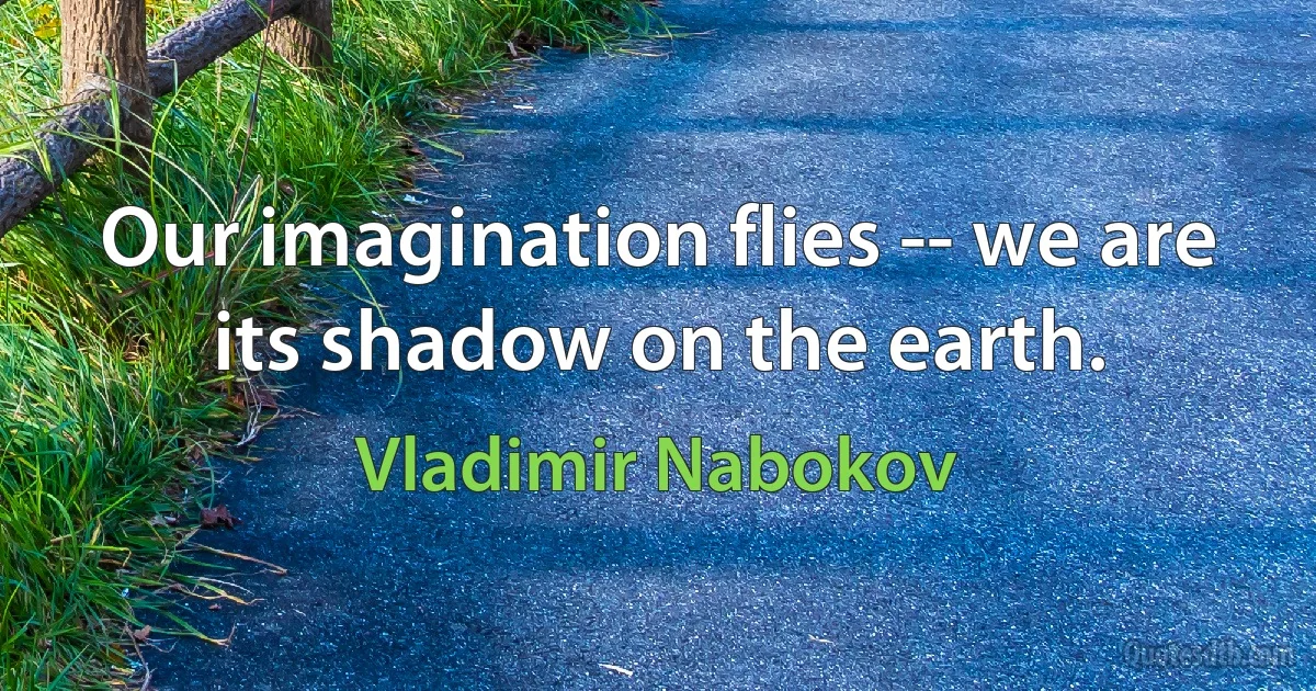 Our imagination flies -- we are its shadow on the earth. (Vladimir Nabokov)