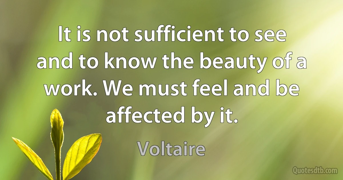 It is not sufficient to see and to know the beauty of a work. We must feel and be affected by it. (Voltaire)