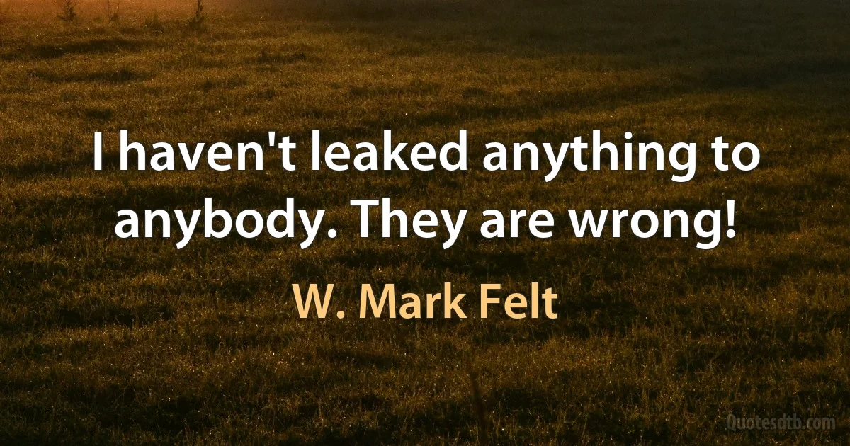 I haven't leaked anything to anybody. They are wrong! (W. Mark Felt)