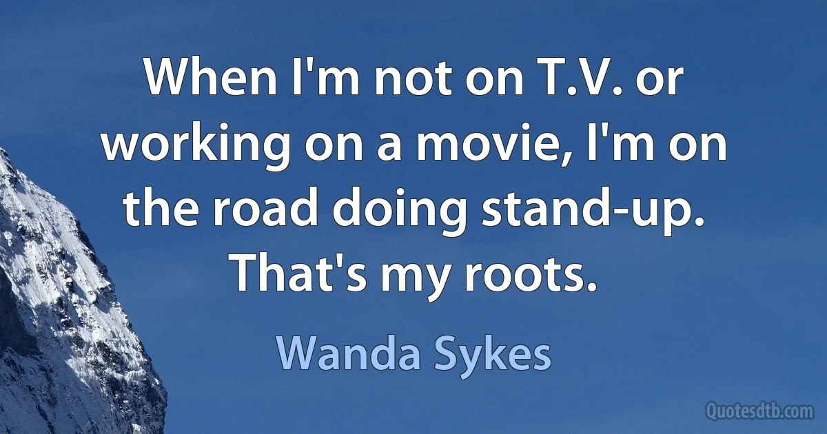 When I'm not on T.V. or working on a movie, I'm on the road doing stand-up. That's my roots. (Wanda Sykes)