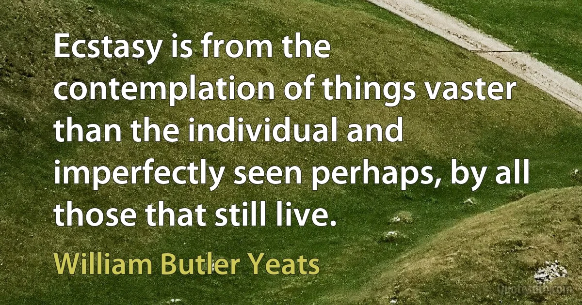 Ecstasy is from the contemplation of things vaster than the individual and imperfectly seen perhaps, by all those that still live. (William Butler Yeats)