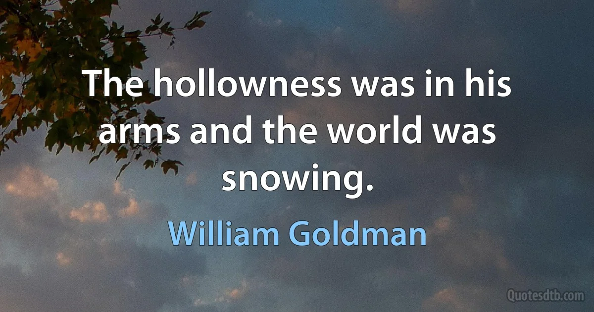 The hollowness was in his arms and the world was snowing. (William Goldman)