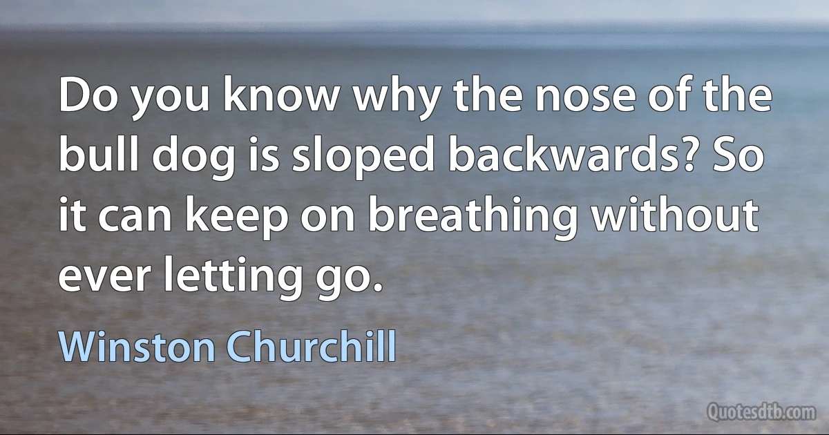 Do you know why the nose of the bull dog is sloped backwards? So it can keep on breathing without ever letting go. (Winston Churchill)