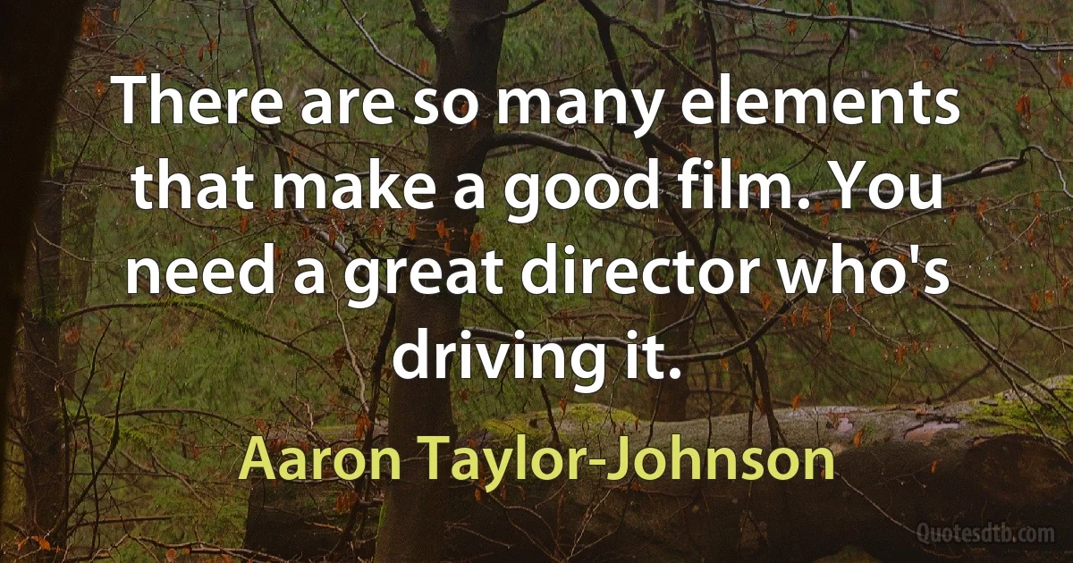 There are so many elements that make a good film. You need a great director who's driving it. (Aaron Taylor-Johnson)