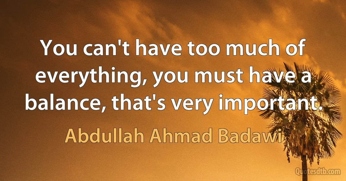 You can't have too much of everything, you must have a balance, that's very important. (Abdullah Ahmad Badawi)