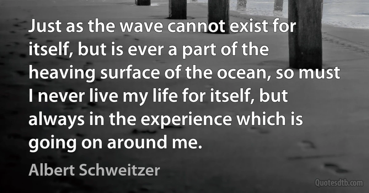 Just as the wave cannot exist for itself, but is ever a part of the heaving surface of the ocean, so must I never live my life for itself, but always in the experience which is going on around me. (Albert Schweitzer)